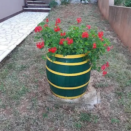 شقة Delas